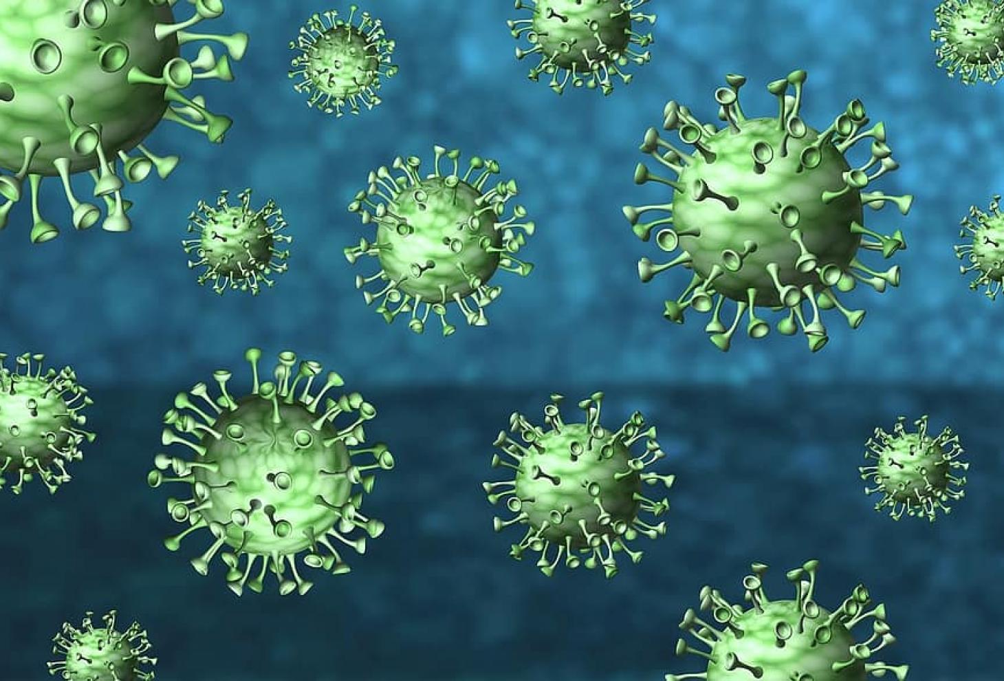Corona Virus