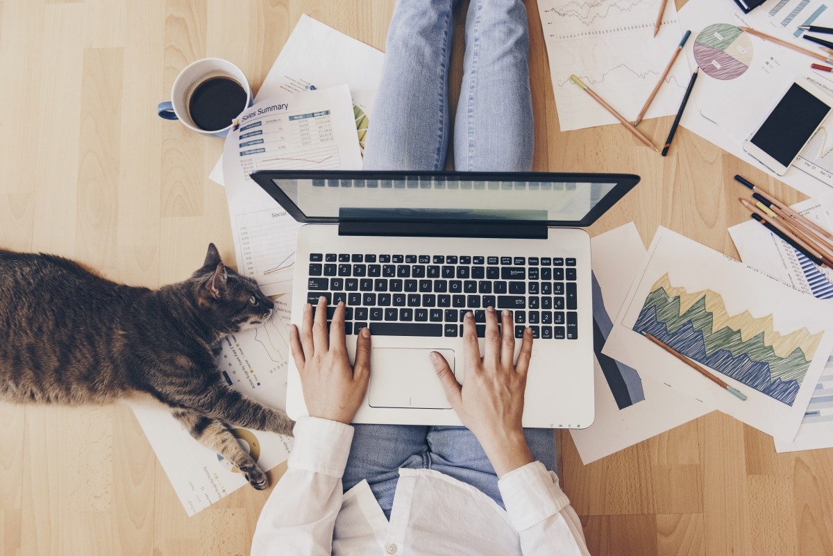 lavoro con notebook