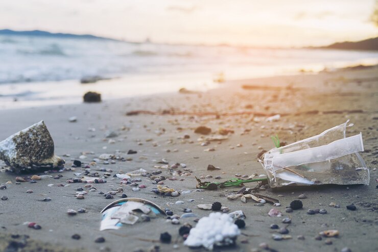 Plastiche e microplastiche
